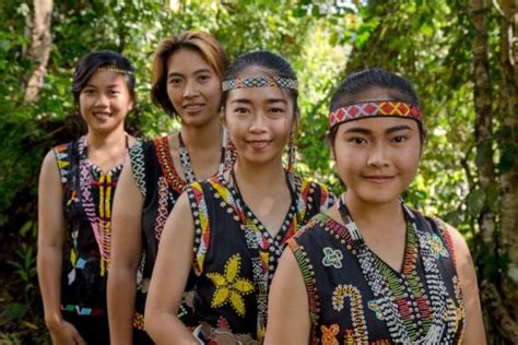 borneo native|borneo island facts.